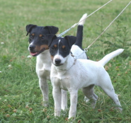 Caya und Halbschwester Pepsi